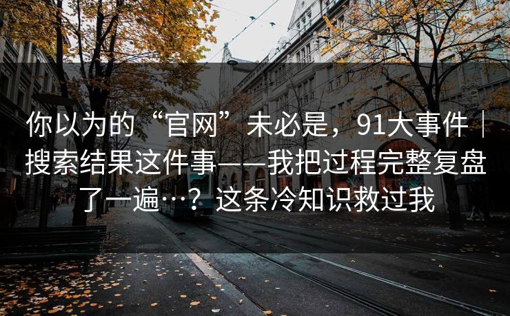 你以为的“官网”未必是，91大事件｜搜索结果这件事——我把过程完整复盘了一遍…？这条冷知识救过我  第1张